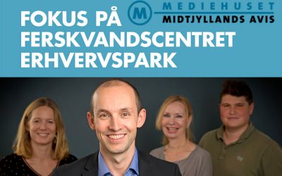 WelcomeSecurity – hvem er vi?